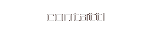 contatti